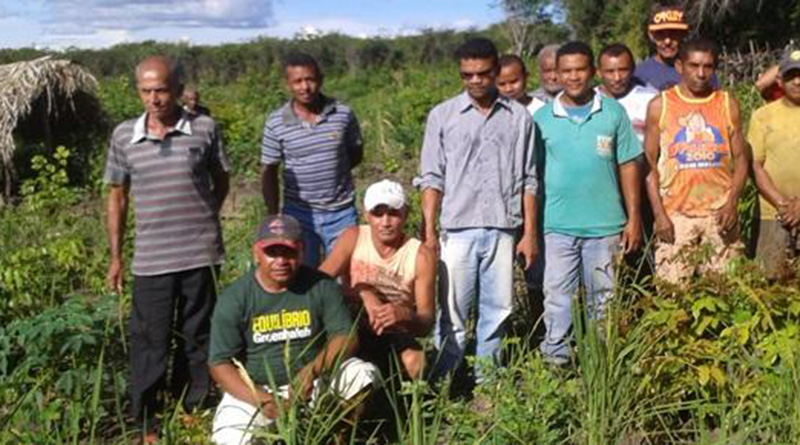 Perdas agrícolas deste ano preocupam o Sindicato dos Trabalhadores Rurais de Timon