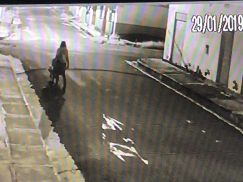 Timon:Câmeras registram ladrão com carro de mão cheio após roubar casa no centro