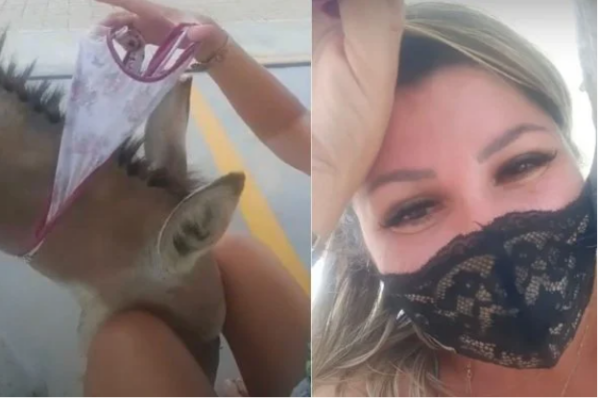 Assista em vídeo: Ativista no Ceará usa a própria calcinha para capturar jumenta parida