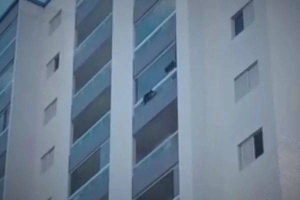 Assista ao vídeo: Cachorro fica pendurado no 8º andar de prédio e deixa vizinho desesperado