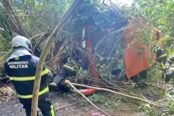 Acidente com ônibus de Timon mata motorista na BR 316, em Caxias