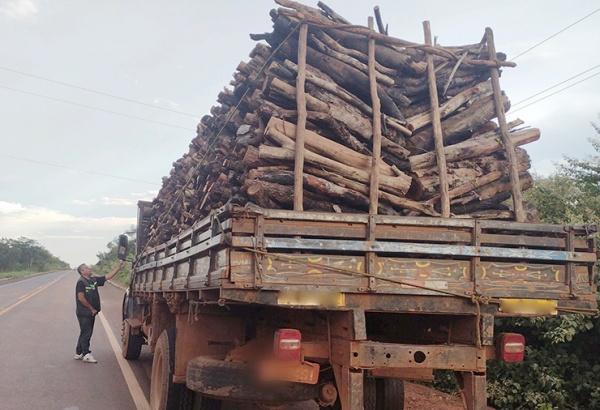 Fiscalização contra crimes ambientais já apreendeu este ano 9 caminhões em Timon