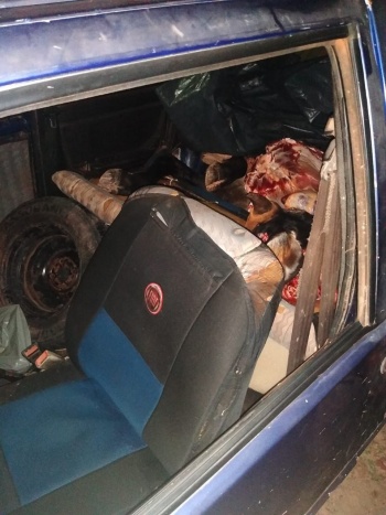 Timon: Polícia prende carro cheio de carne de gado roubado na zona rural