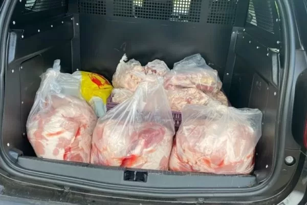 Abatedouro é investigado por misturar carne de cavalo com a de porco