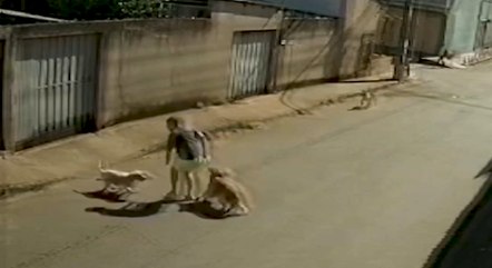 Assista:  Bombeiro salva homem e cão atacados por pitbull