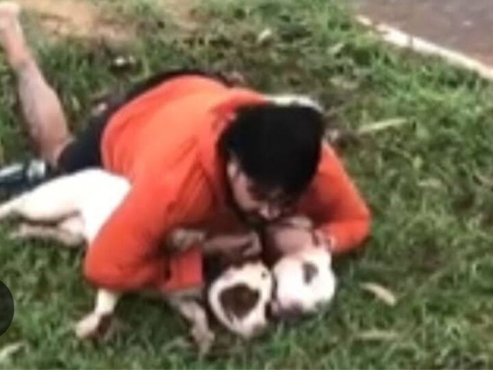Assista: Lutador é atacado por pitbulls, imobiliza os animais e faz desabafo