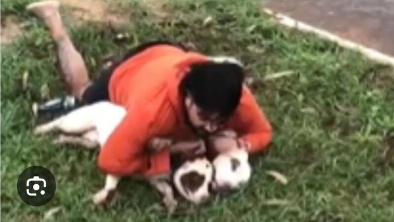 Assista: Lutador é atacado por pitbulls, imobiliza os animais e faz desabafo