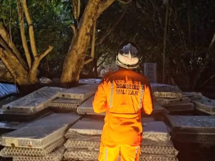 60 horas ! Maranhense segue sem descer de árvore na Bahia