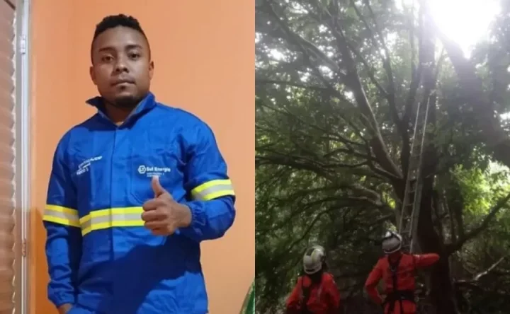 Maranhense desaparecido desde março é encontrado em cima de árvore na Bahia