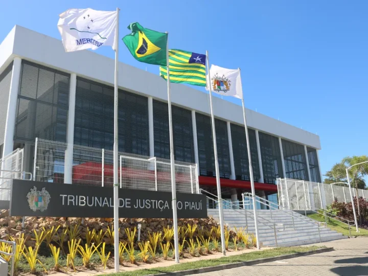 Timonense será membro do comitê gestor do orçamento do TJ Piauí
