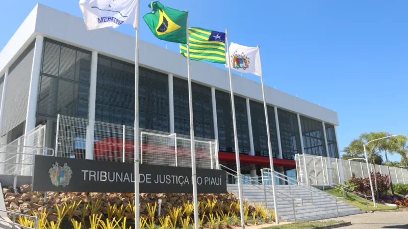 Timonense será membro do comitê gestor do orçamento do TJ Piauí