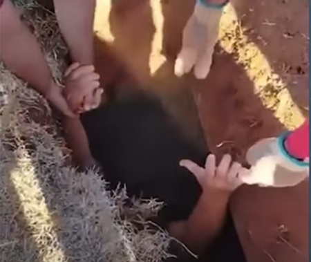 Assista: Homem cai dentro de cova de cemitério durante enterro