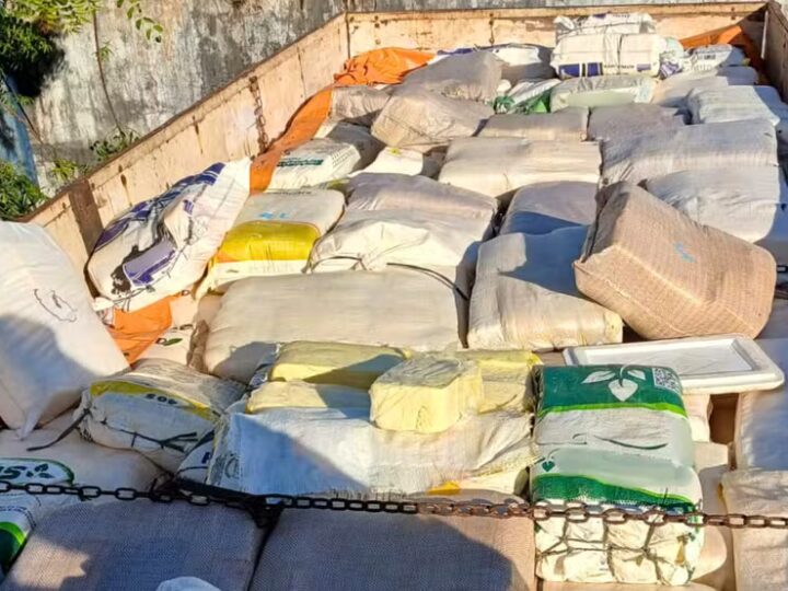 PRF apreende na BR 226 6 mil quilos de queijo sem condições sanitárias