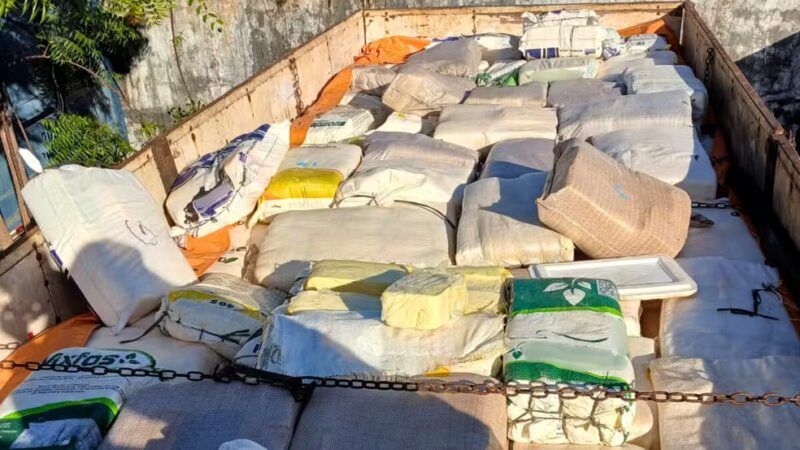 PRF apreende na BR 226 6 mil quilos de queijo sem condições sanitárias